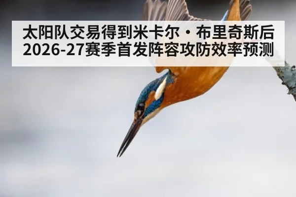 太阳队交易得到米卡尔·布里奇斯后2026-27赛季首发阵容攻防效率预测