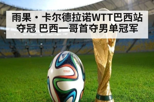 雨果·卡尔德拉诺WTT巴西站夺冠 巴西一哥首夺男单冠军