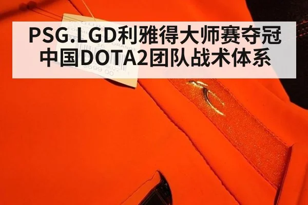 PSG.LGD利雅得大师赛夺冠 中国DOTA2团队战术体系